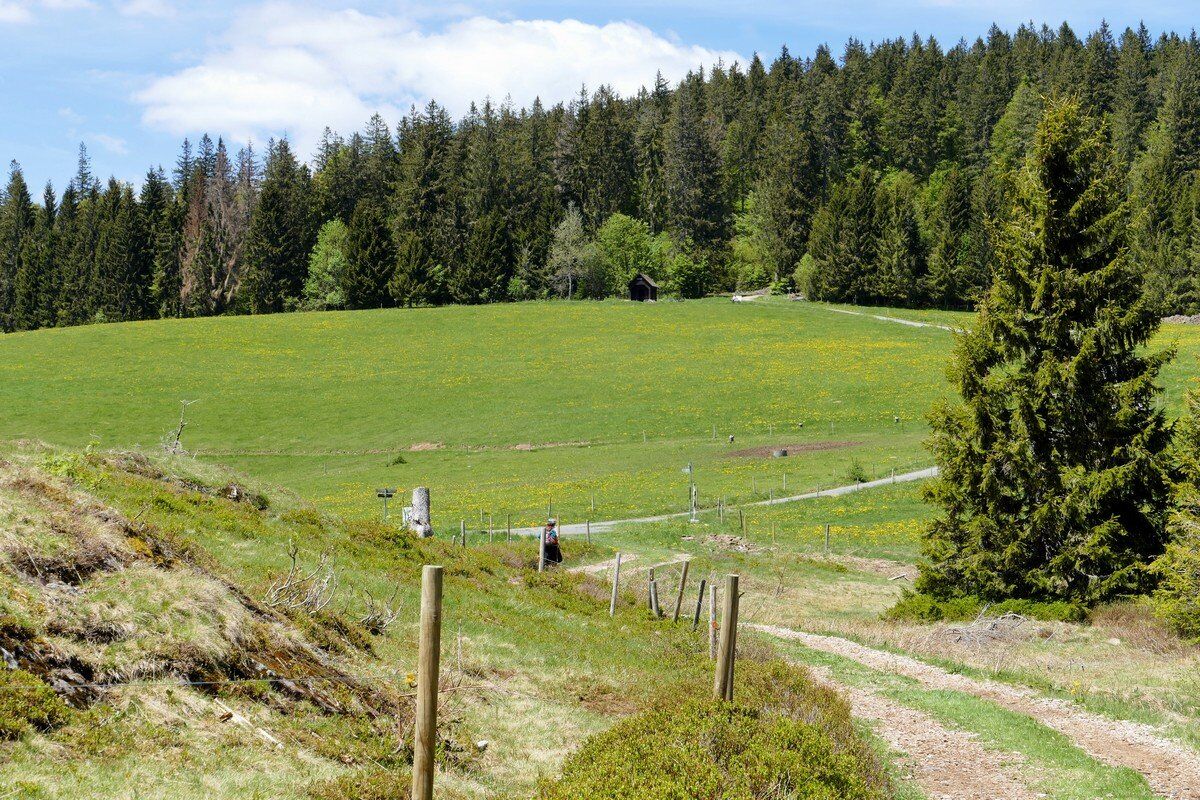 Neumannshütte am Riggenbacher Eck.
