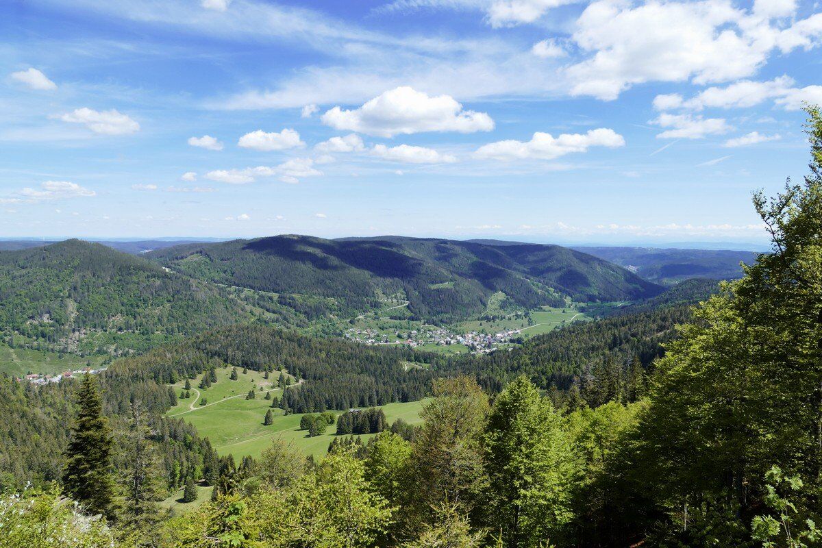 Blick über Bernau.