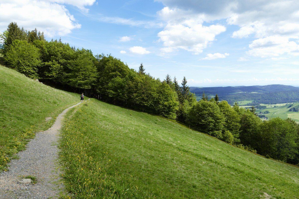 Abstieg von der Krunkelbach-Hütte.