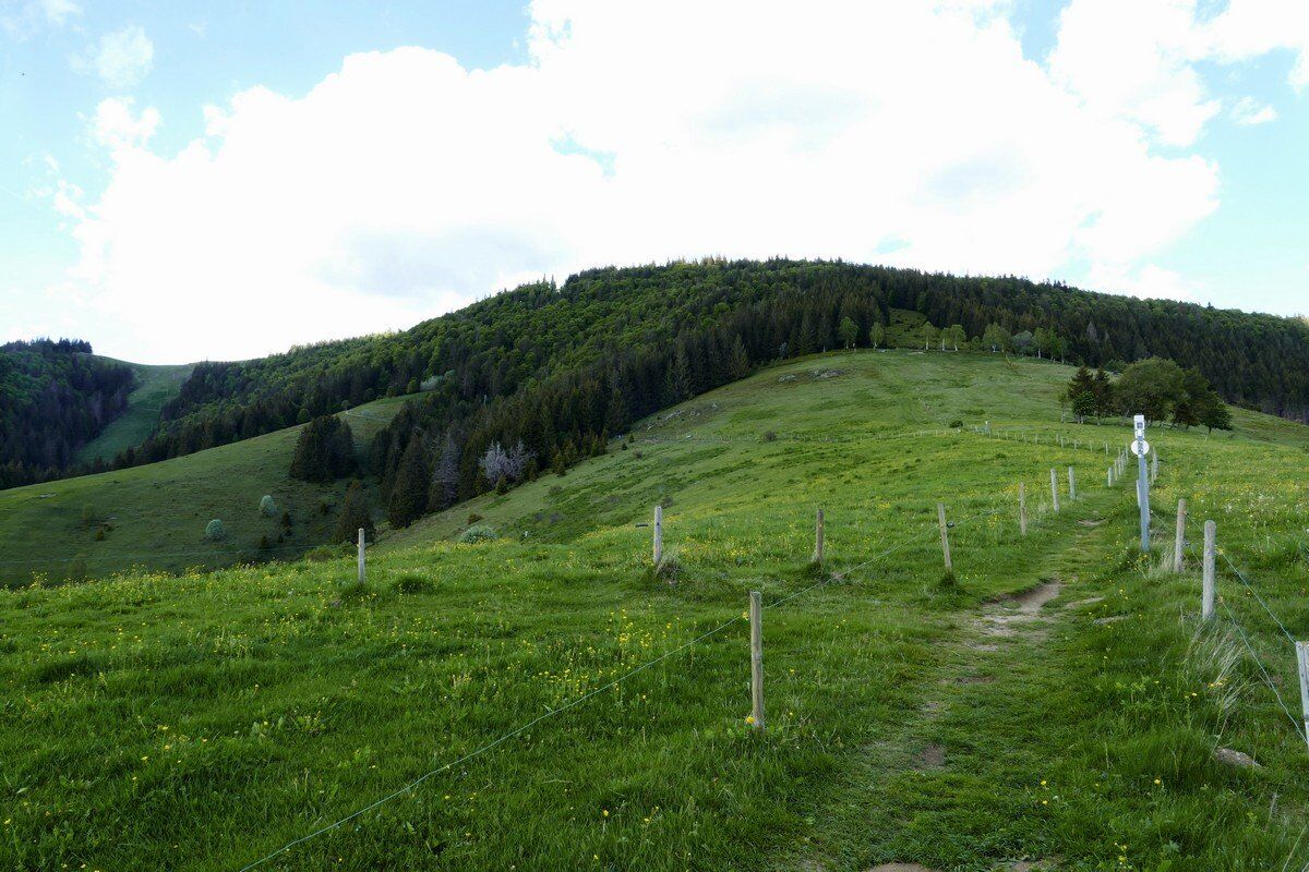 Abstieg von der Krunkelbach-Hütte.