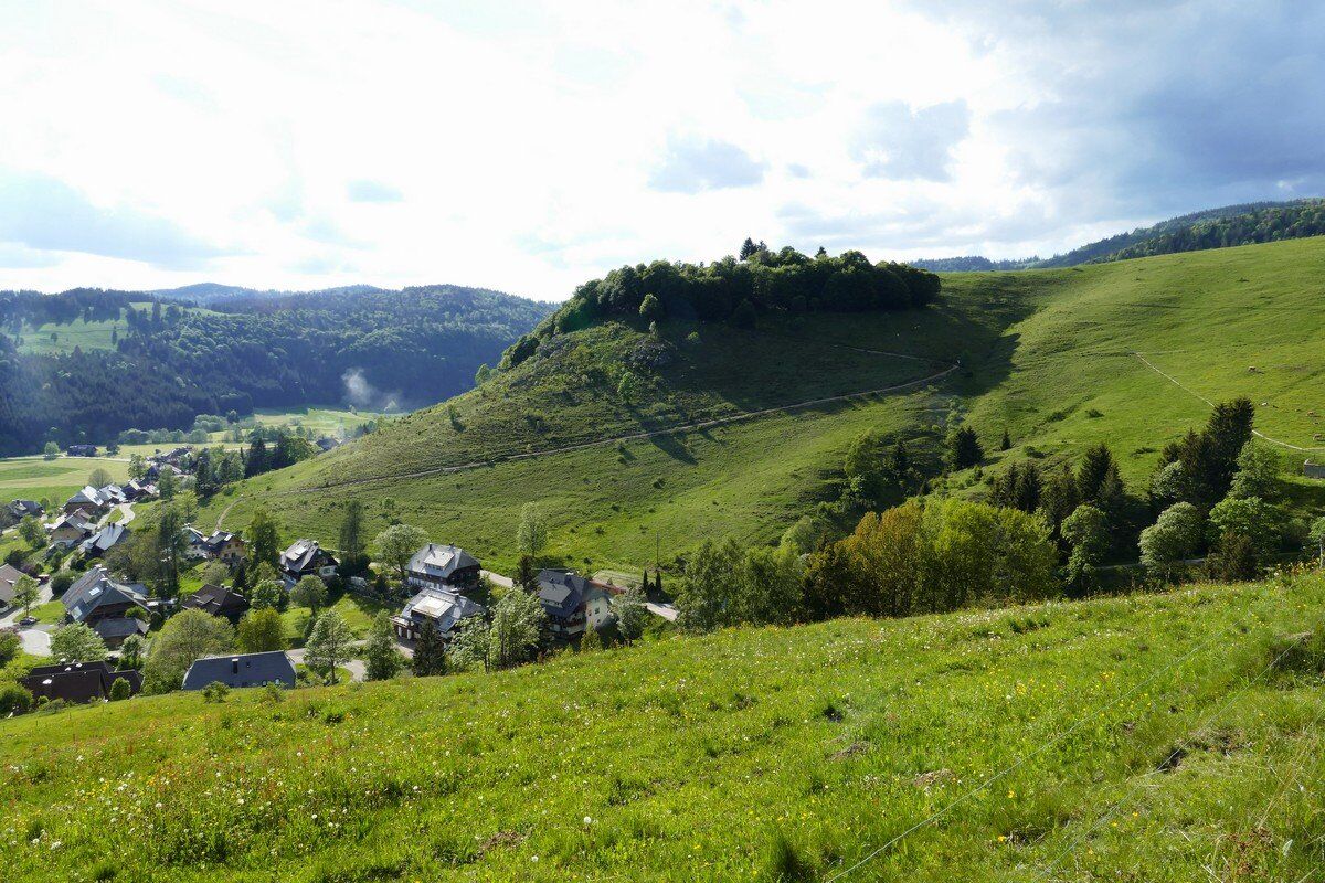 Auf dem Panoramaweg.
