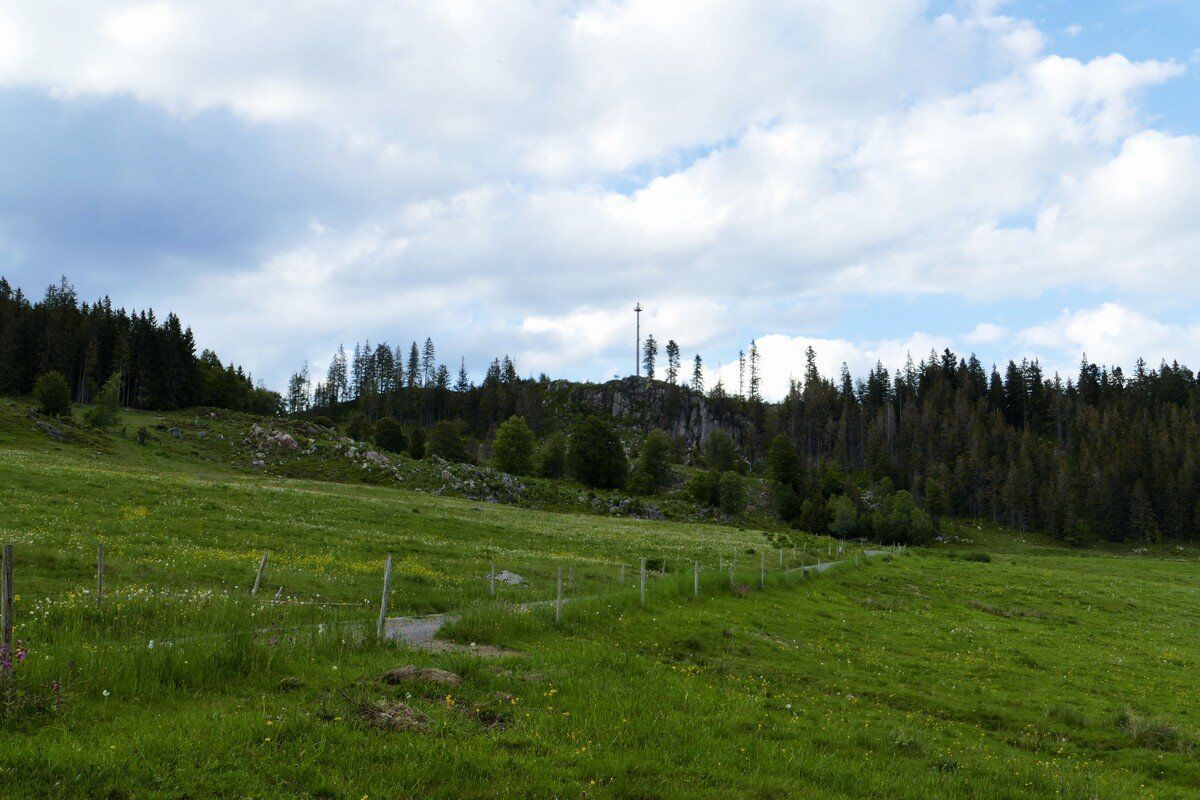 Auf dem Panoramaweg unterhalb des Hohfelsen.