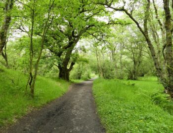 Im Allander Park.