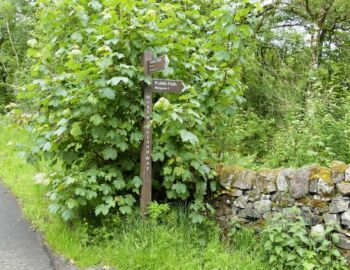Der West Highland Way ist hervorragend ausgeschildert.