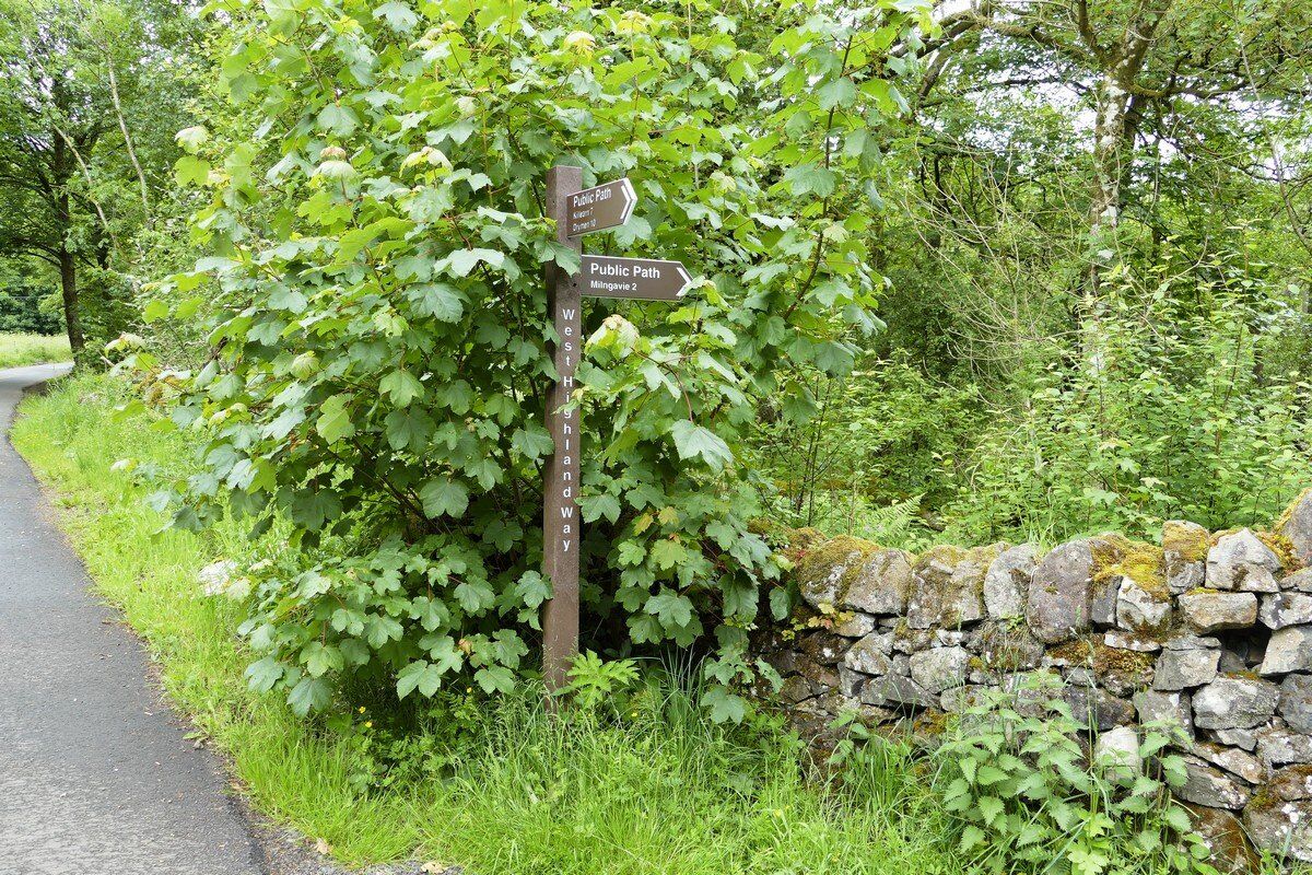 Der West Highland Way ist hervorragend ausgeschildert.