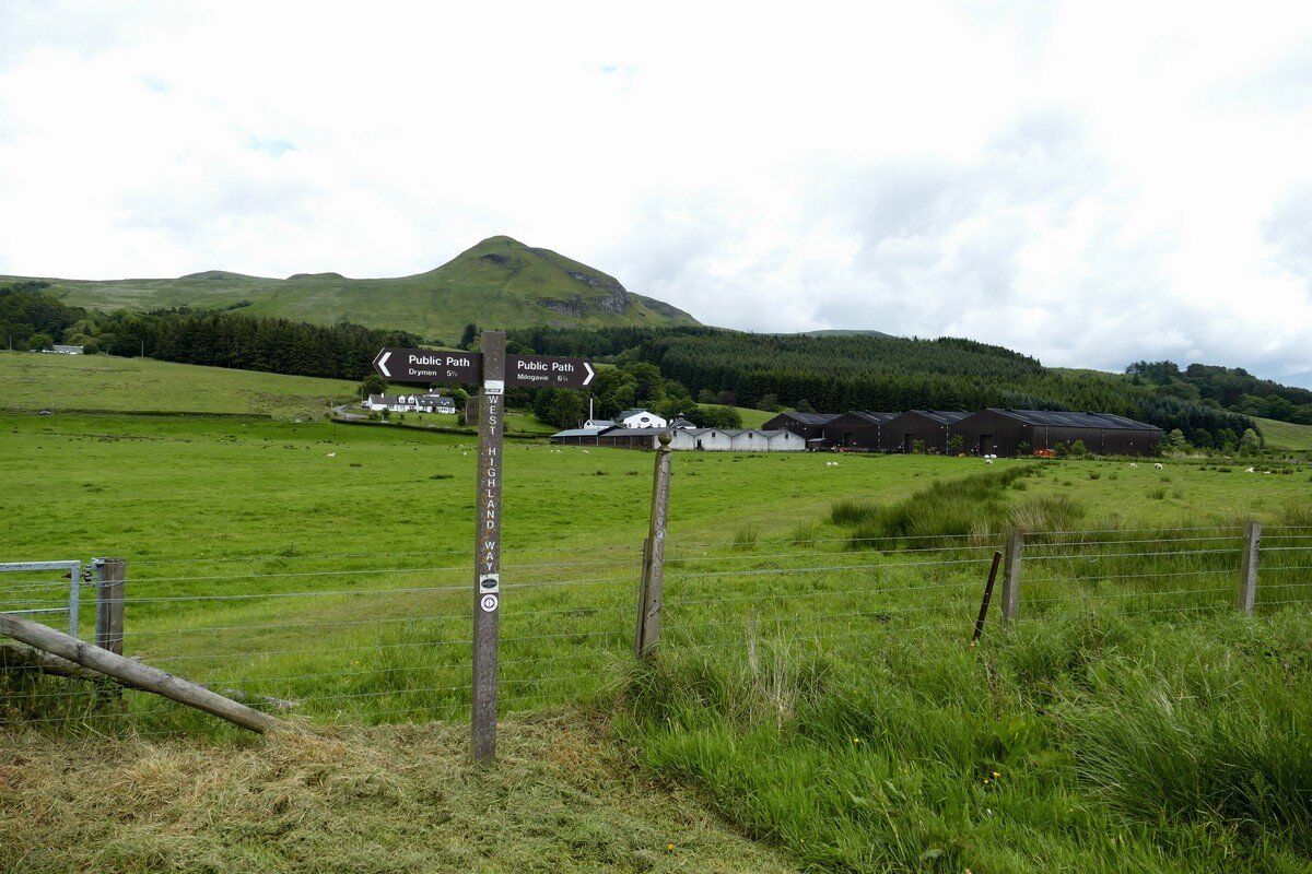Im Tal Strath Blane mit der Glengoyne Distillery.