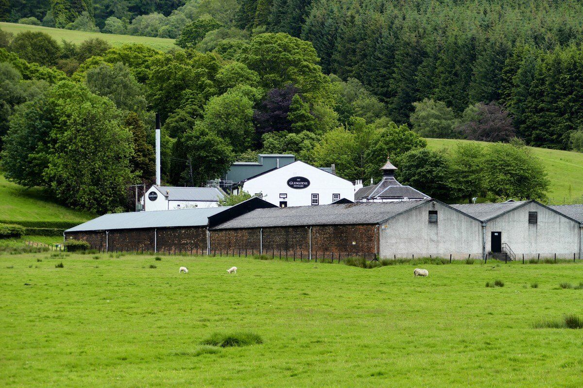 Glengoyne Distillery.