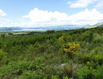 Blick auf Loch Lomond und Conic Hill.