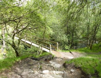 Brücke über den Burn of Mar.