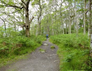 Uferweg am Loch Lomond.