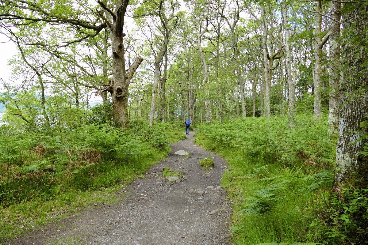 Uferweg am Loch Lomond.