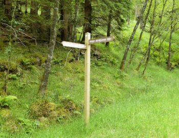 Ufer- und Forstweg kommen zusammen.