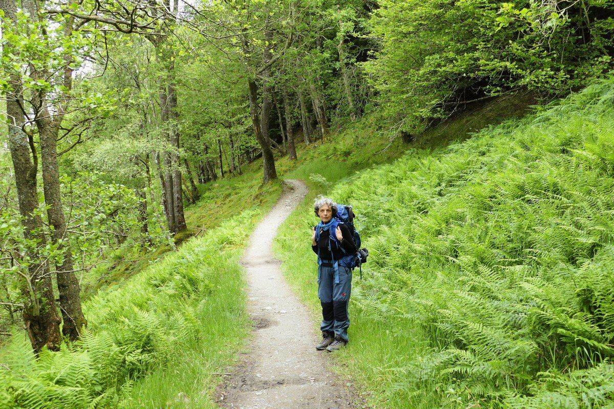 Auf dem Uferweg geht es weiter.