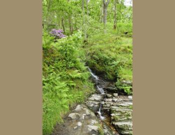 Falls of Inversnaid.
