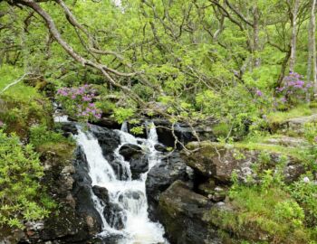 Falls of Inversnaid.