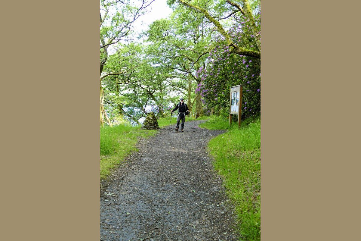 Noch ist der Weg gut.