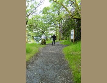 Noch ist der Weg gut.