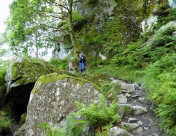 Der Weg wird mühsam.