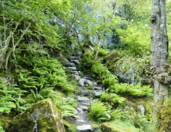 Trotz allem ist der Weg gut begehbar.