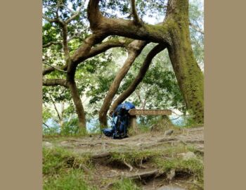 Bei der Höhle von Rob Roy.