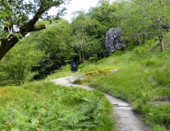 Der Weg ist wieder besser.