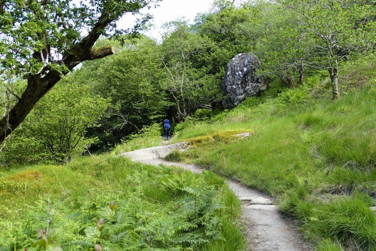 Der Weg ist wieder besser.