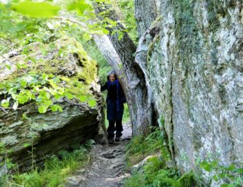 Uferweg.