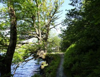 Uferweg.