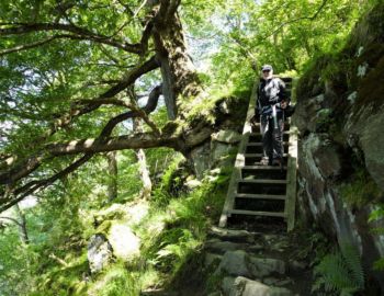 Uferweg.
