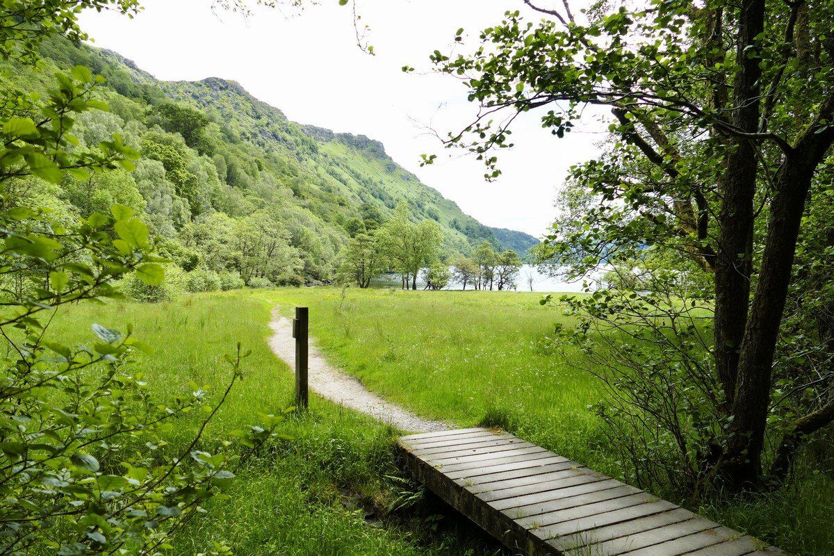 Auf gutem Weg geht es weiter.