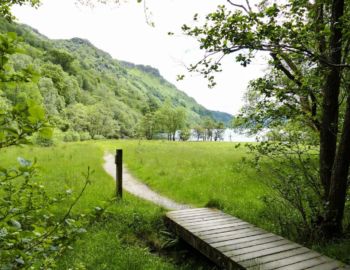 Auf gutem Weg geht es weiter.