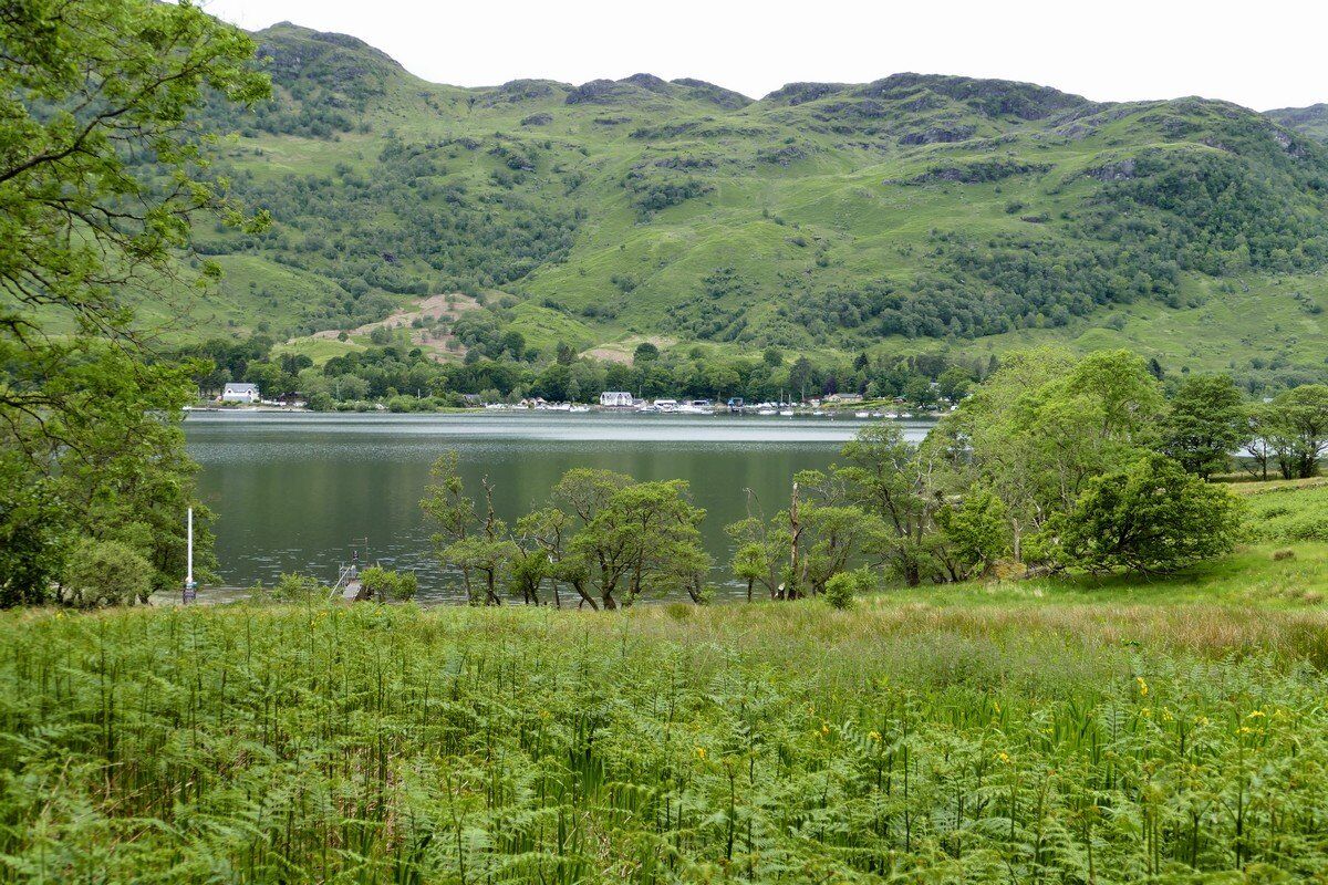 Blick auf Ardlui am gegenüberliegenden Ufer.