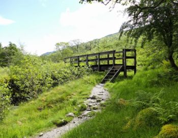 Im Glen Falloch.