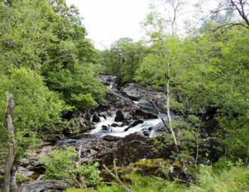 Im Glen Falloch.