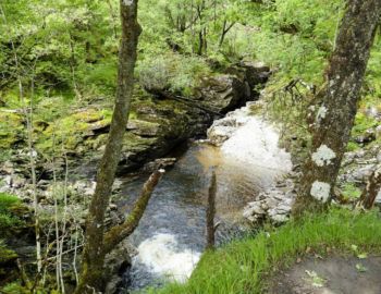 Im Glen Falloch.