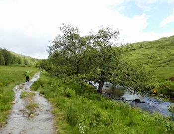 Im Glen Falloch.