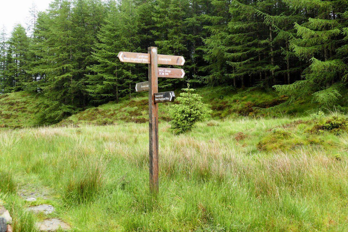 Hier trifft der Weg von Crianlarich den WHW wieder.