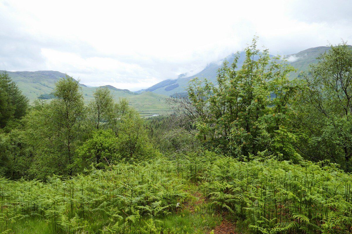 Blick in das Strath Fillan.