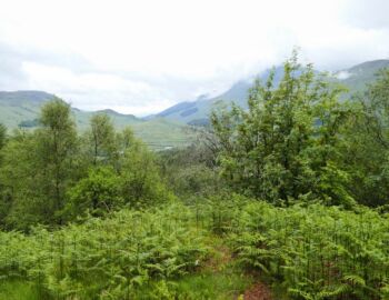 Blick in das Strath Fillan.