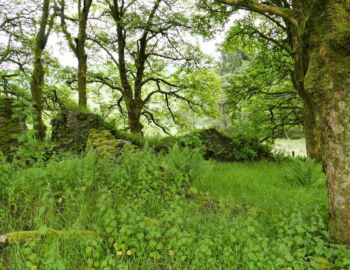 Überreste des Klosters.