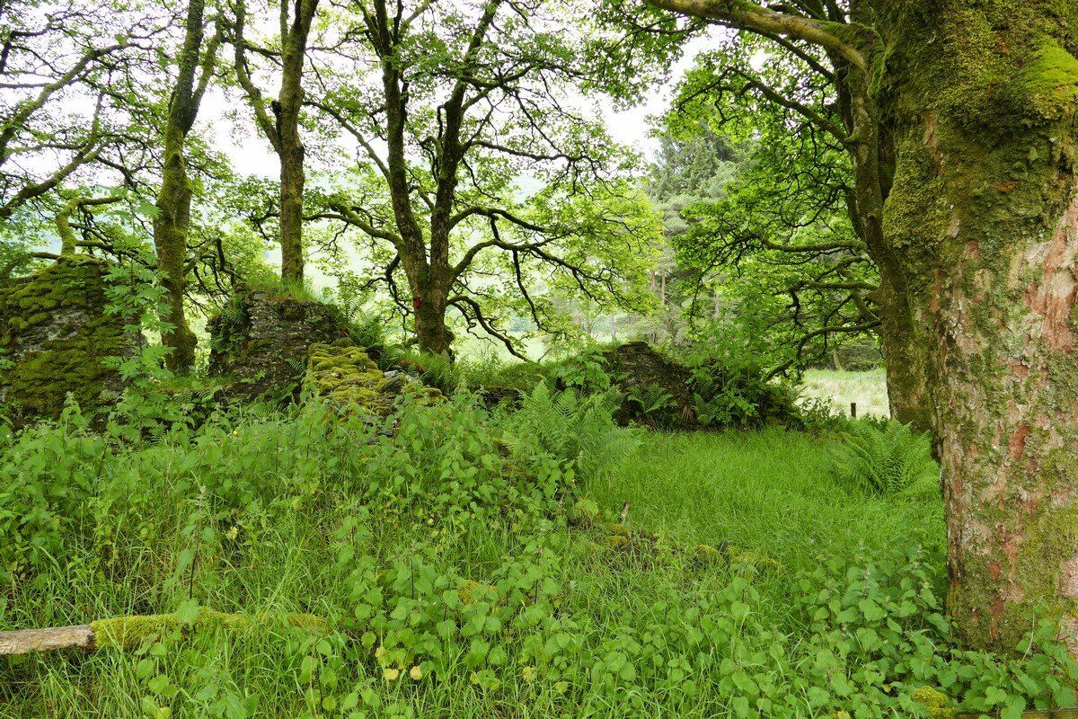 Überreste des Klosters.