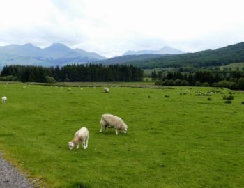 Auf dem Weg zur Auchtertyre Farm.
