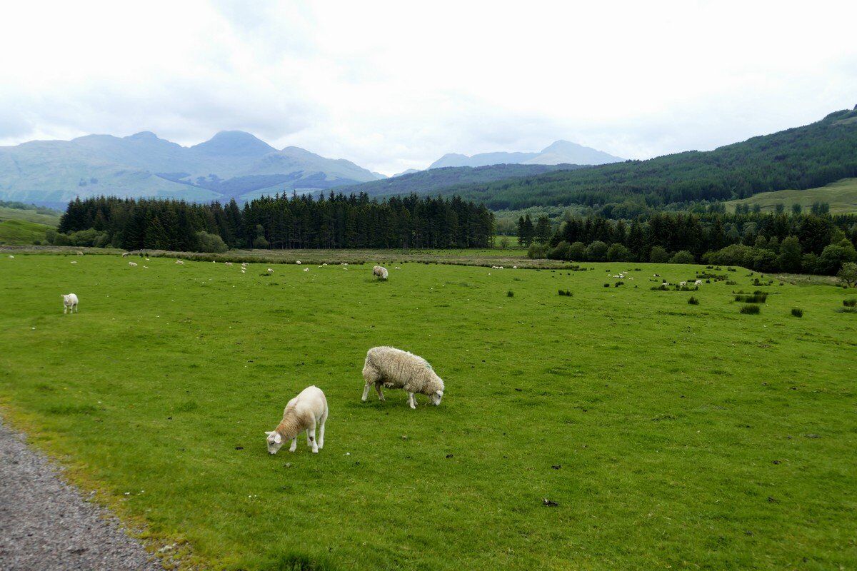 Auf dem Weg zur Auchtertyre Farm.