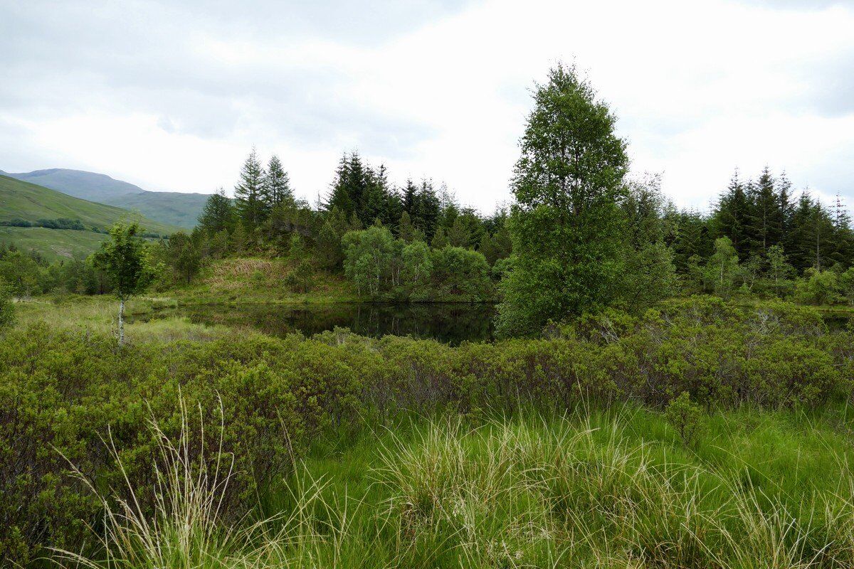 Lochan of the Lost Sword.