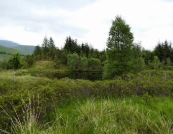 Lochan of the Lost Sword.