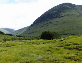 Auf dem Weg von Tyndrum nach Bridge of Orchy.
