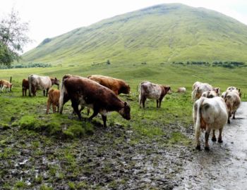 Auf dem Weg von Tyndrum nach Bridge of Orchy.