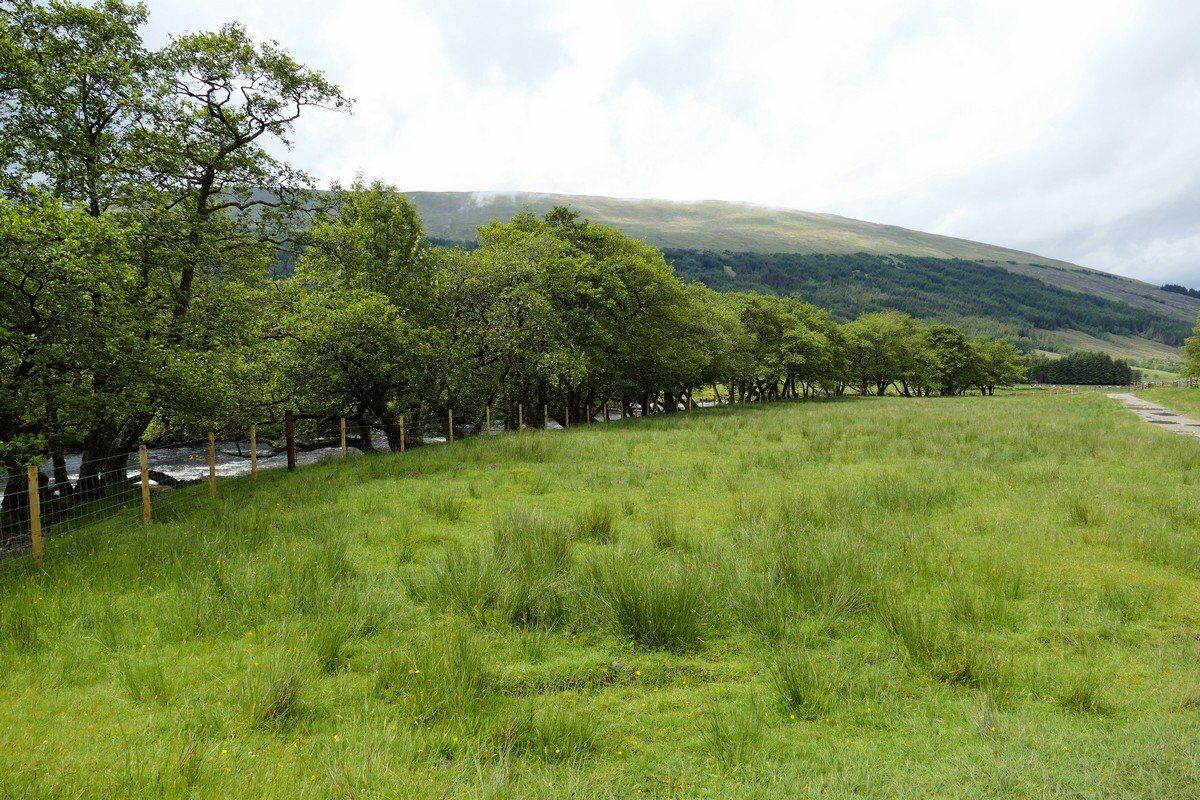 Auf dem Weg von Tyndrum nach Bridge of Orchy.