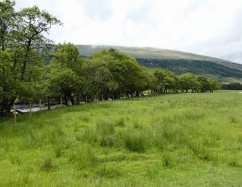 Auf dem Weg von Tyndrum nach Bridge of Orchy.