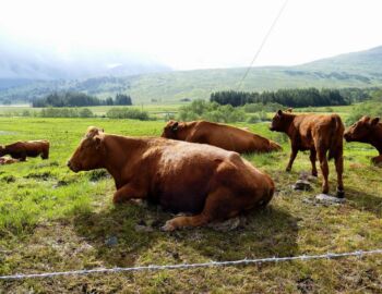 Beim Inveroran Hotel.